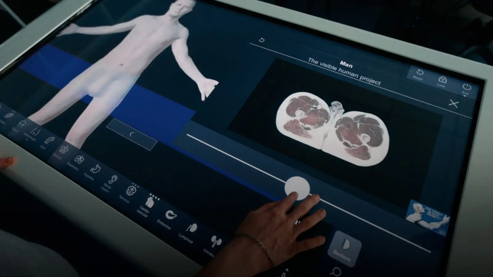 file - 2026-04-25T160542.696.webp